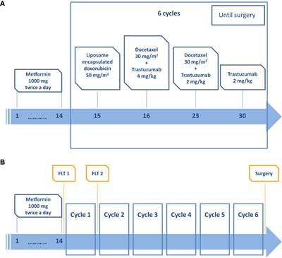 Exploratory Analysis of 18F-3’-deoxy-3’-fluorothymidine (18F-FLT) PET/CT-Based Radiomics for the Early Evaluation of Response to Neoadjuvant Chemotherapy in Patients With Locally Advanced Breast Cancer